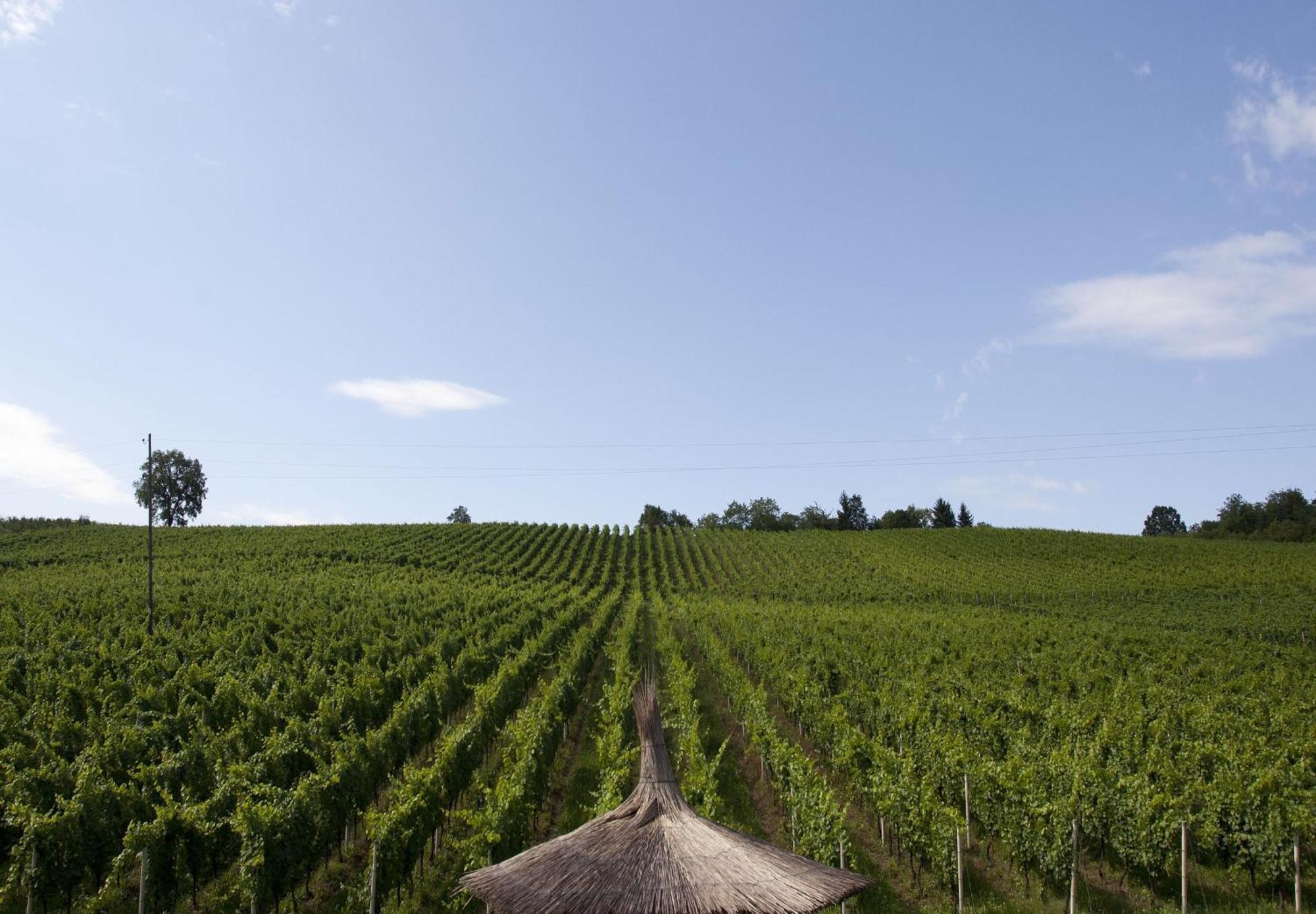 Stupnicki Dvori Winery Hotel Stupnik Brodski Zewnętrze zdjęcie