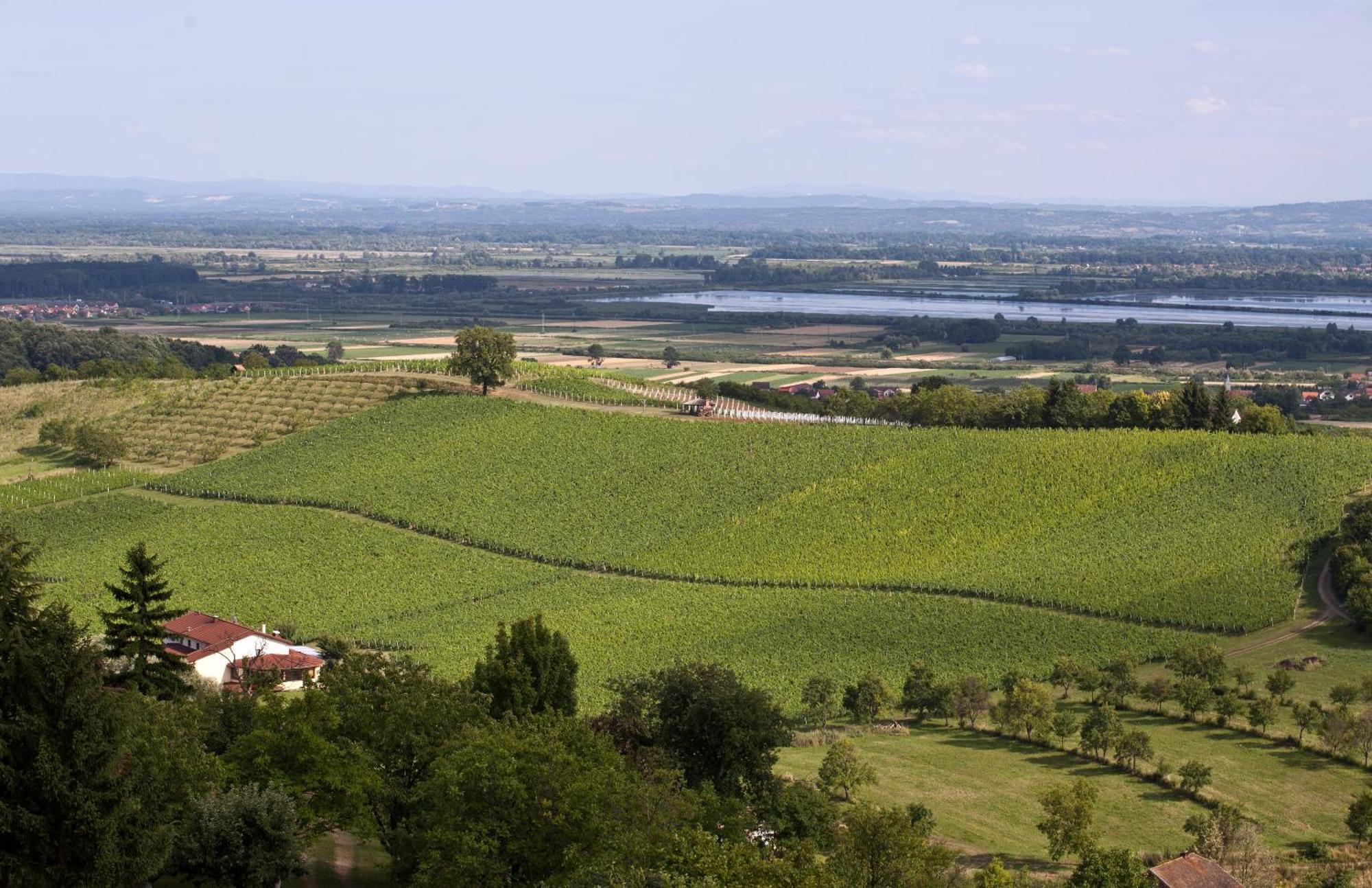 Stupnicki Dvori Winery Hotel Stupnik Brodski Zewnętrze zdjęcie