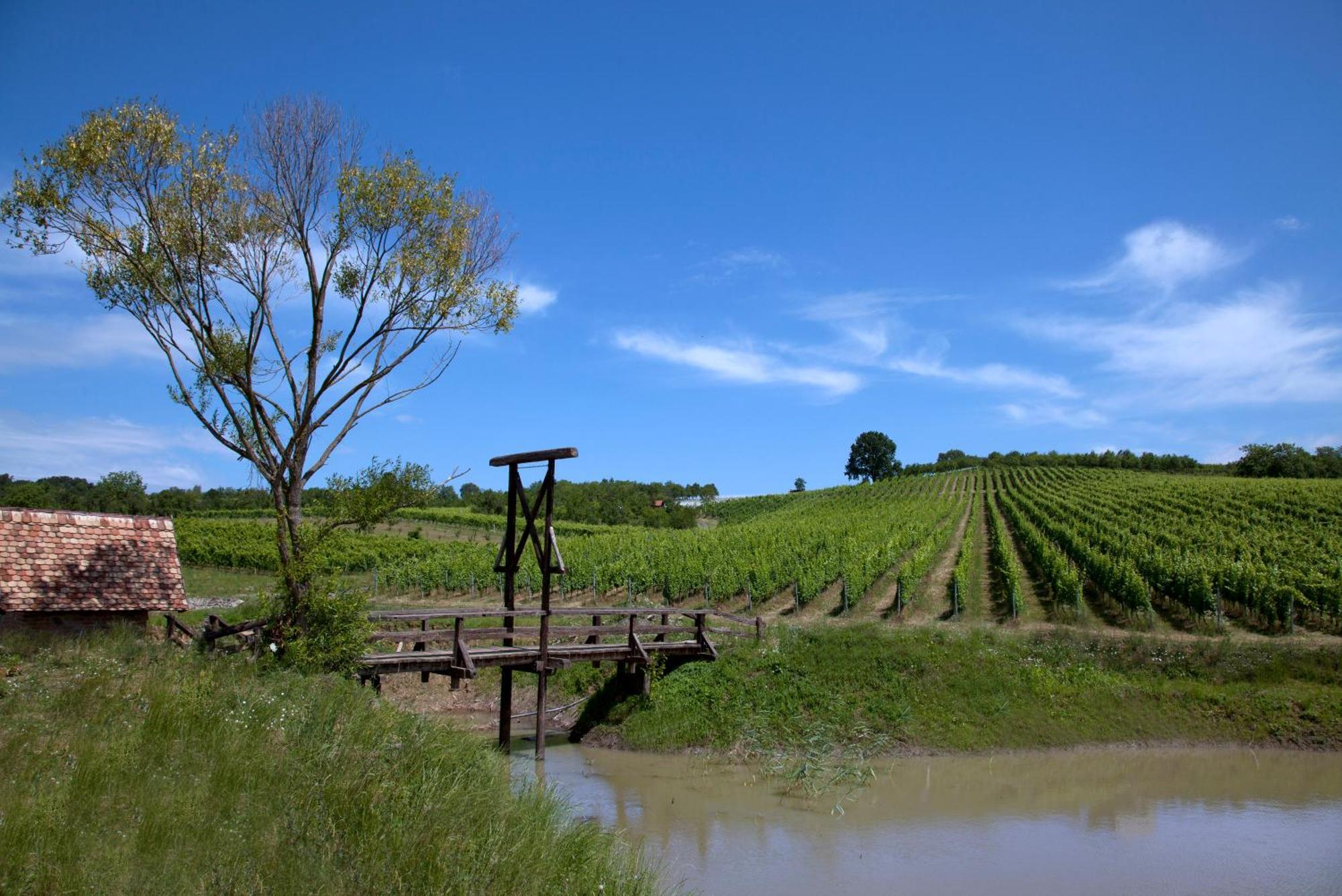 Stupnicki Dvori Winery Hotel Stupnik Brodski Zewnętrze zdjęcie