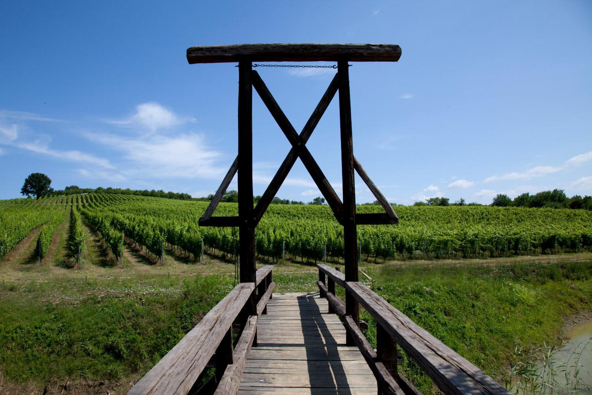 Stupnicki Dvori Winery Hotel Stupnik Brodski Zewnętrze zdjęcie