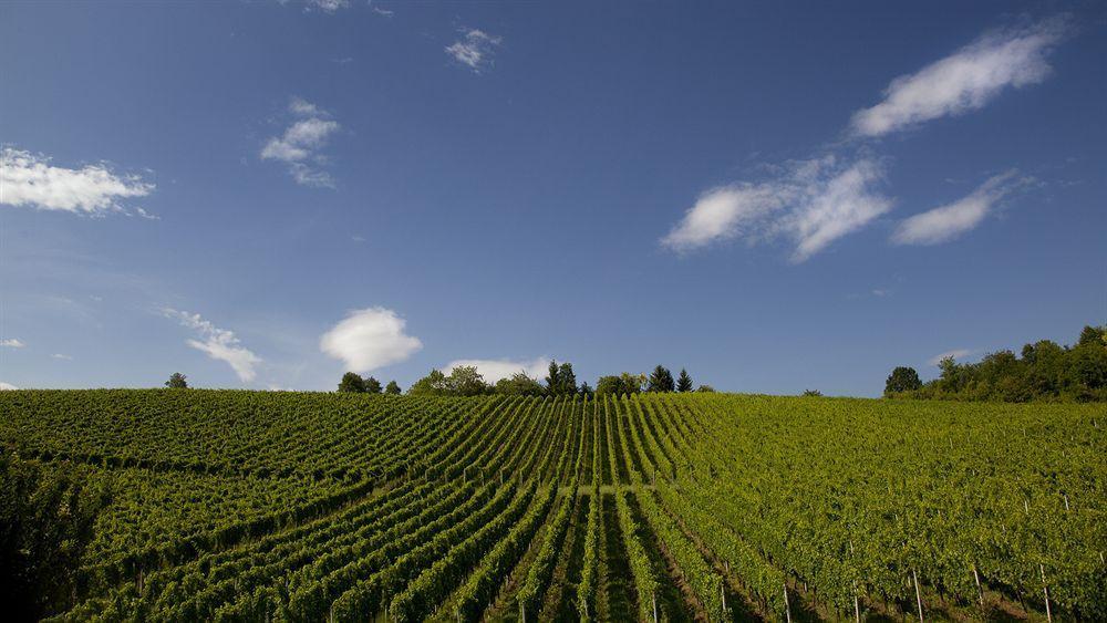 Stupnicki Dvori Winery Hotel Stupnik Brodski Zewnętrze zdjęcie