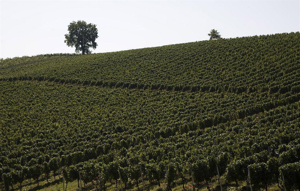 Stupnicki Dvori Winery Hotel Stupnik Brodski Zewnętrze zdjęcie