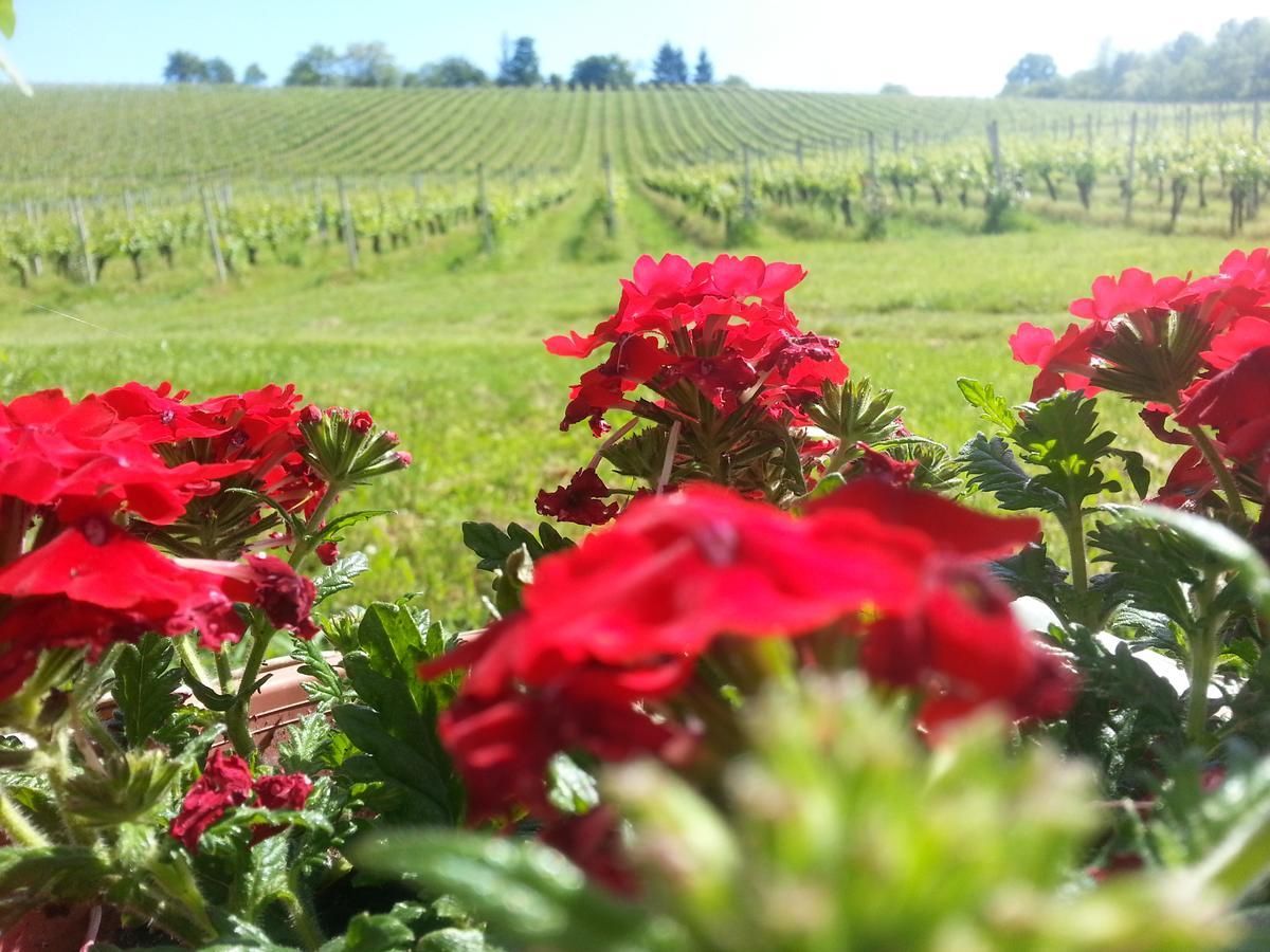 Stupnicki Dvori Winery Hotel Stupnik Brodski Zewnętrze zdjęcie