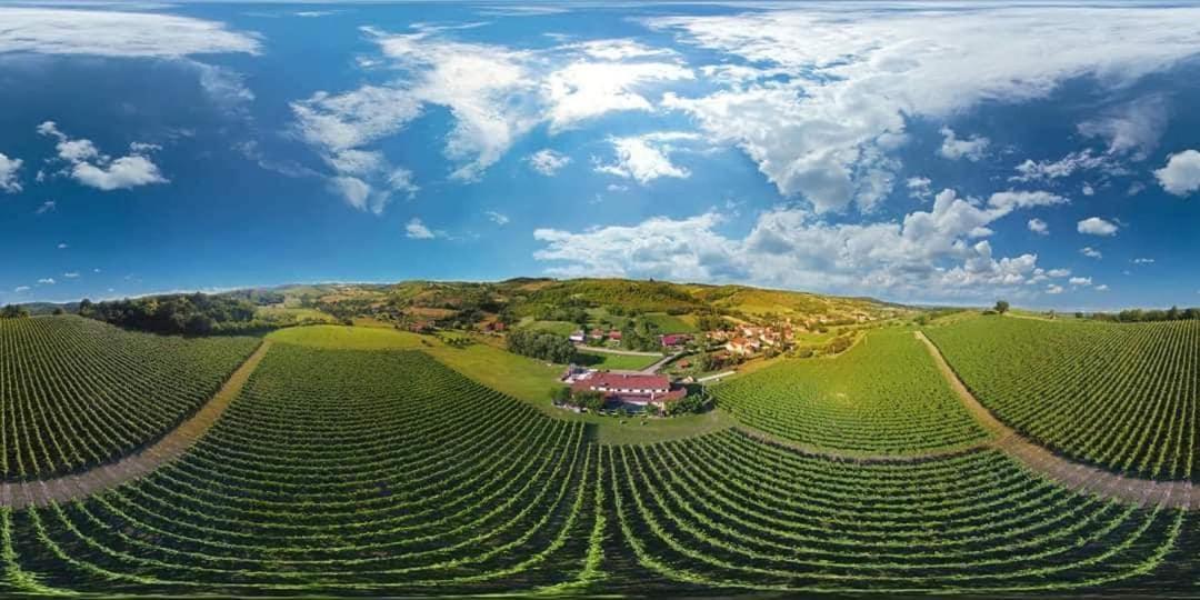 Stupnicki Dvori Winery Hotel Stupnik Brodski Zewnętrze zdjęcie